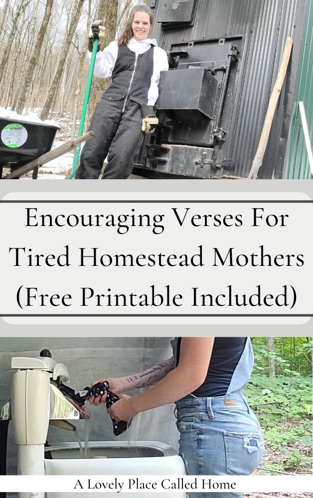 cover pic for blog post encouraging verses for tired homestead mothers