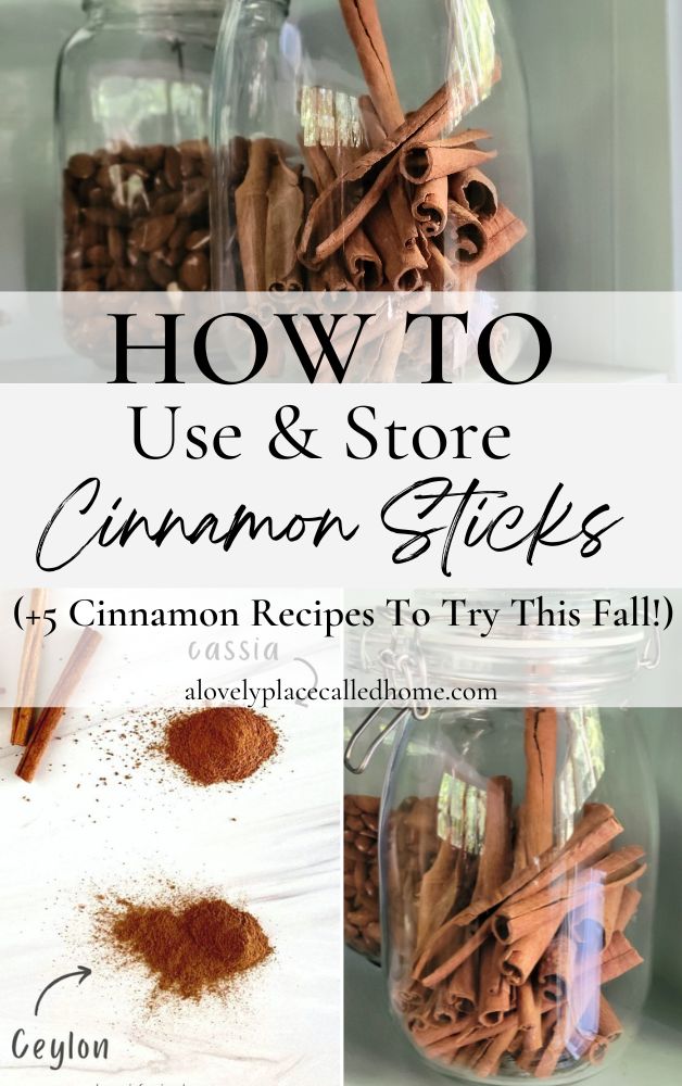 Types of Cinnamon Explained: Flavors, Freshness, & More