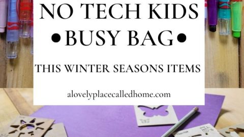 no tech kids busy bag - this winter seasons items