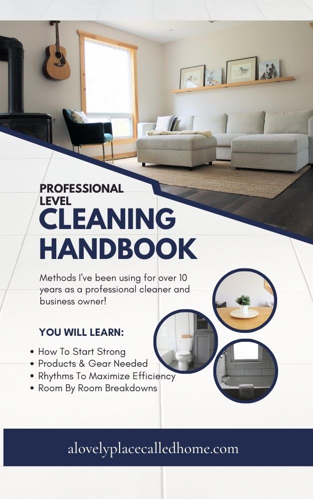 cleaning handbook cover picture