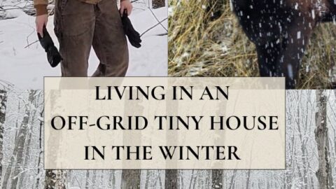 cover picture for living in an off-grid tiny house in the winter