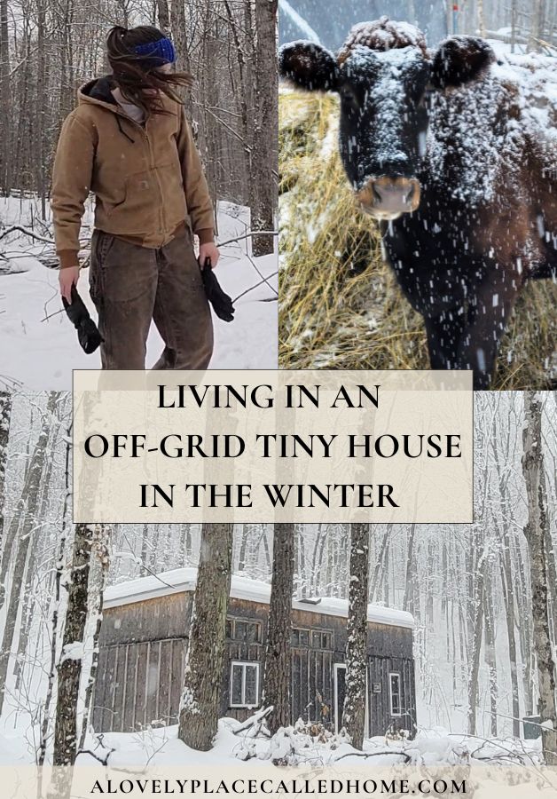 cover picture for living in an off-grid tiny house in the winter
