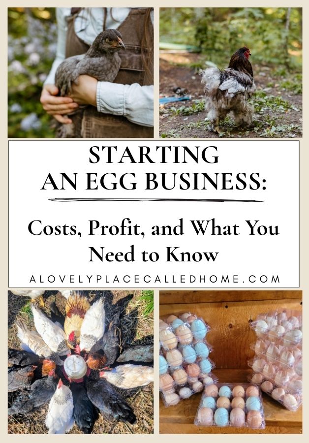 cover picture for post starting an egg business. a lovely place called home