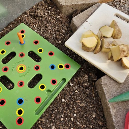 how to learn these homestead skills this spring square foot gardening 