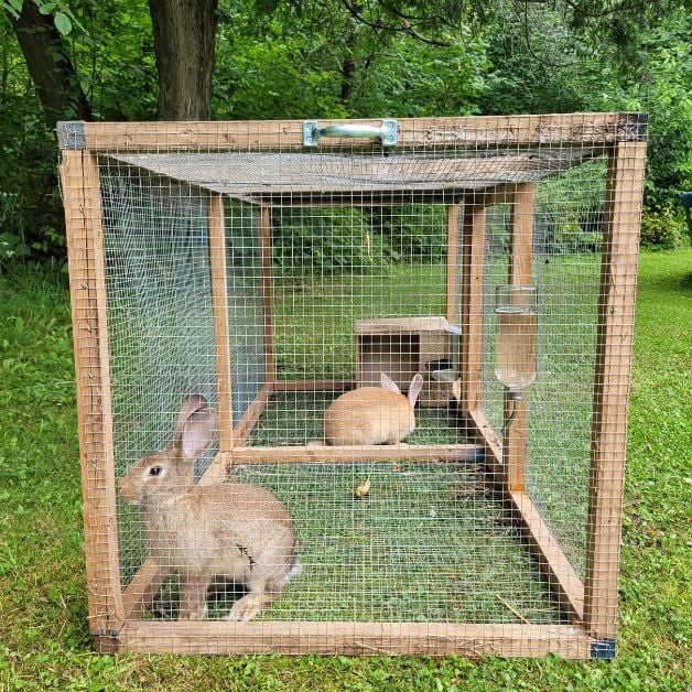 one of our grow out cages for the rabbitry 